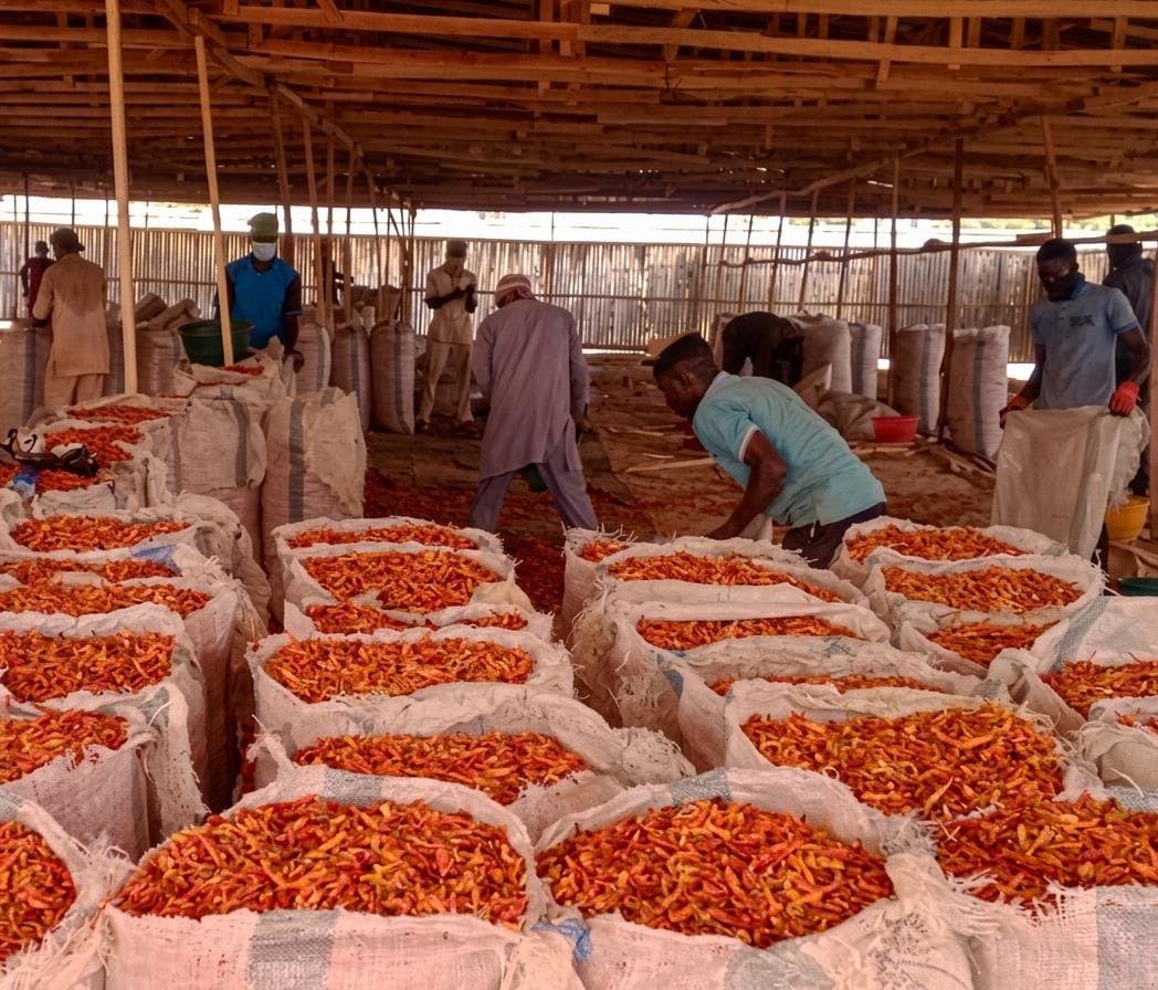 Traditional Raised Sun-Drying Beds