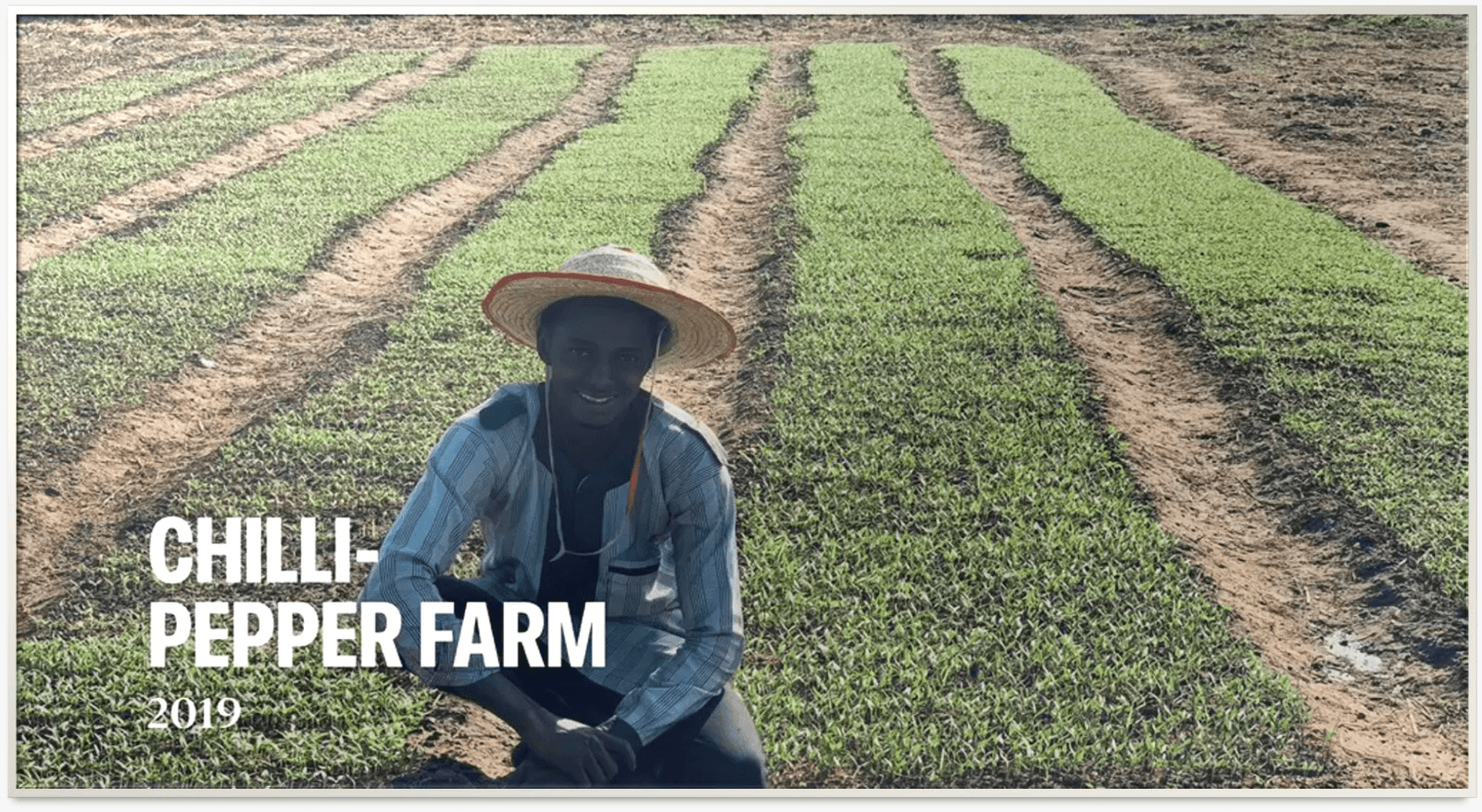 Nursery Seedlings & Soil Propagation